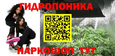 молекула духа Ливны